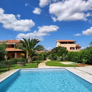 Gli Ulivi Di Maremma Gavorrano